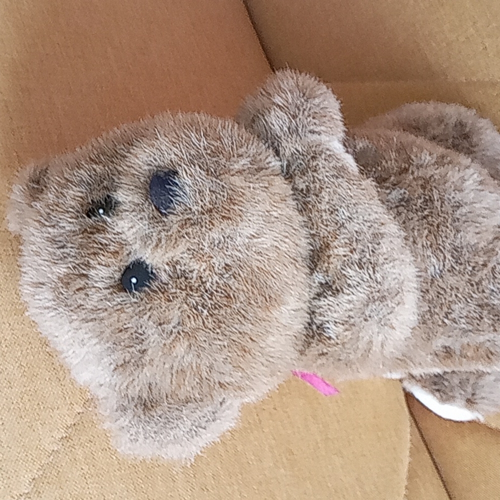 Gibson Prayer Bear 1996